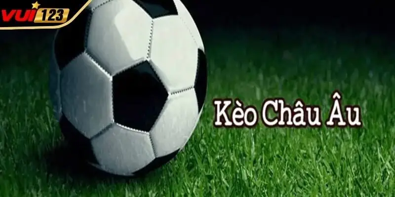 Bí quyết chơi hiệu quả từ chuyên gia