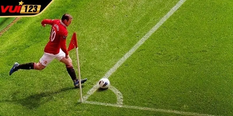 Bí quyết thắng lớn từ chuyên gia